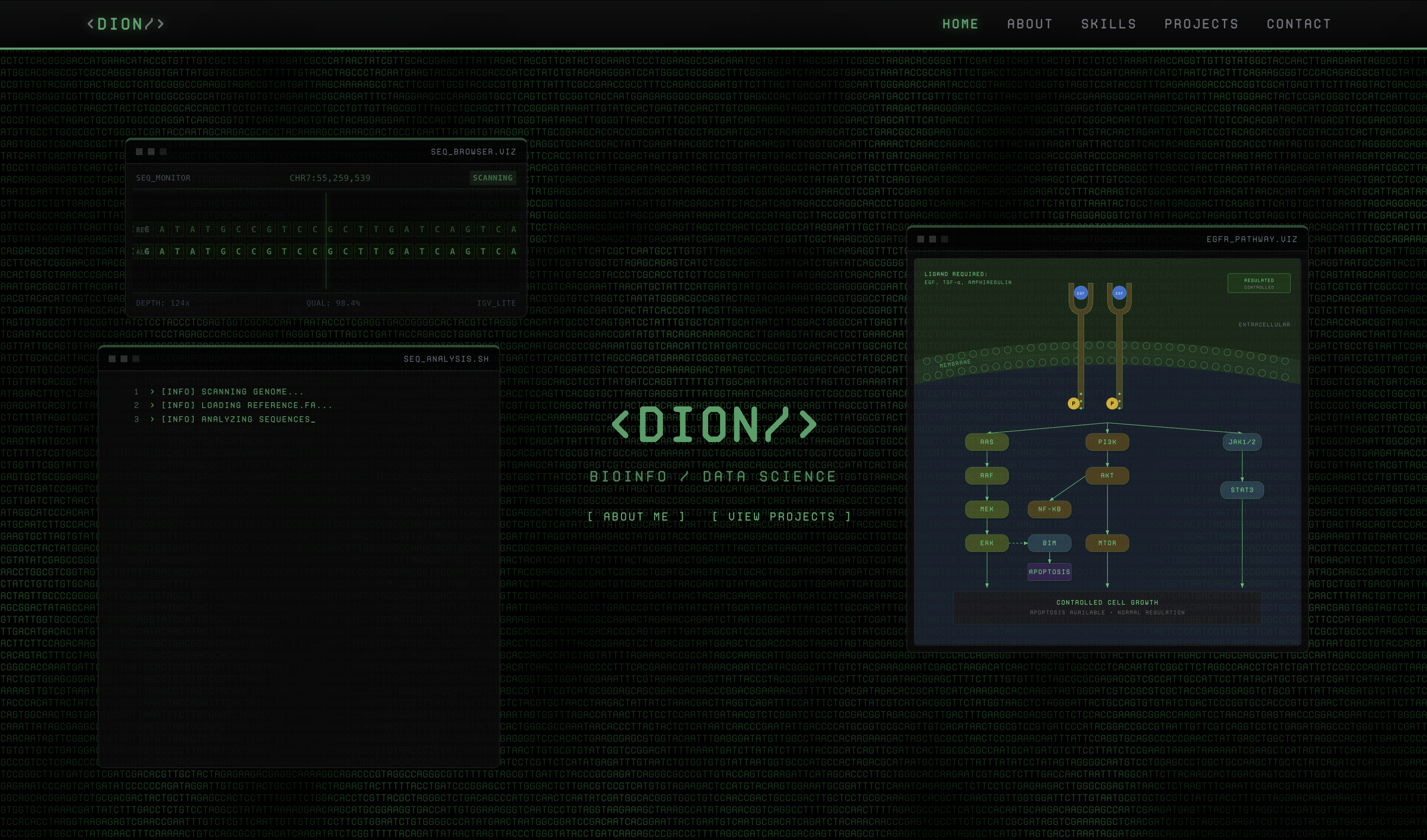 dionic.xyz — A Bioinformatics Portfolio preview
